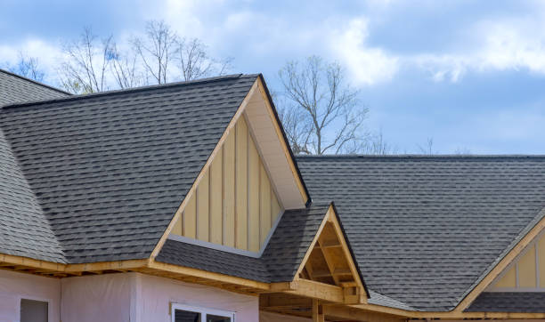 Best Gutter Installation and Repair  in Port Isabel, TX